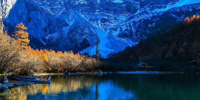 750x1334 Nature iPhone Wallpapers - Top Free Nature iPhone Backgrounds