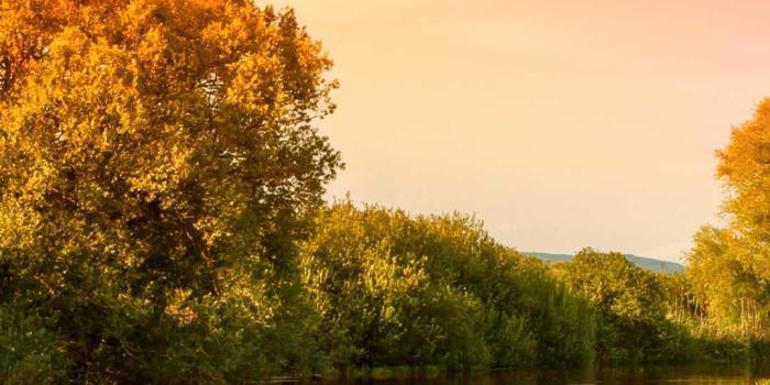 1080x1920 iPhone 7 Plus Wallpaper