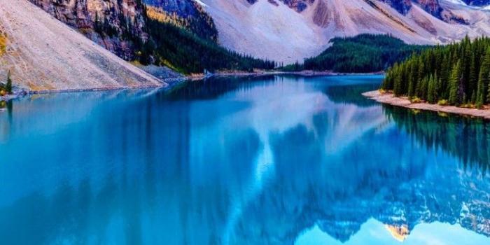 750x1334 Nature iPhone Wallpapers - Top Free Nature iPhone Backgrounds