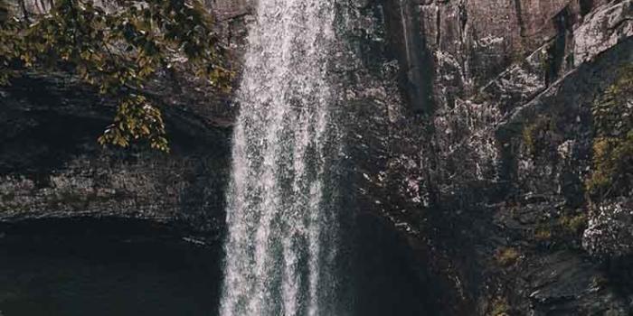 736x1308 The Perfect Set Of Wallpapers For Your New iPhone XR | Earth