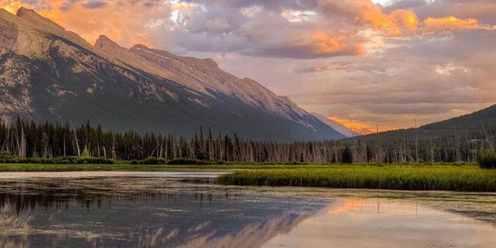 750x1334 60+ Nature HD iPhone Wallpapers - Download at WallpaperBro