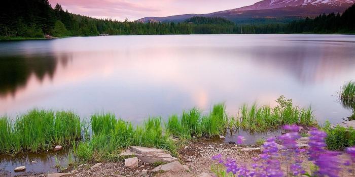 2048x2048 Nature » Nature Wallpapers For Iphone 6 - HD Wallpaper for Desktop