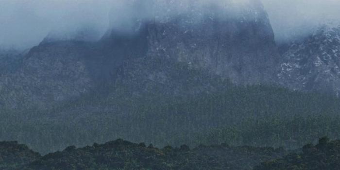 1080x1920 Mountain Tree River Nature Iphone 6 Wallpapers Hd And (#847524) - HD