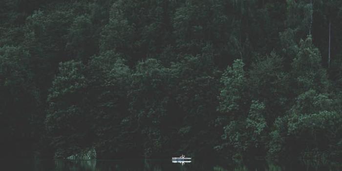 736x1308 12 Relaxing Nature iPhone Xs Wallpapers | Wallpaper | Gambar dan