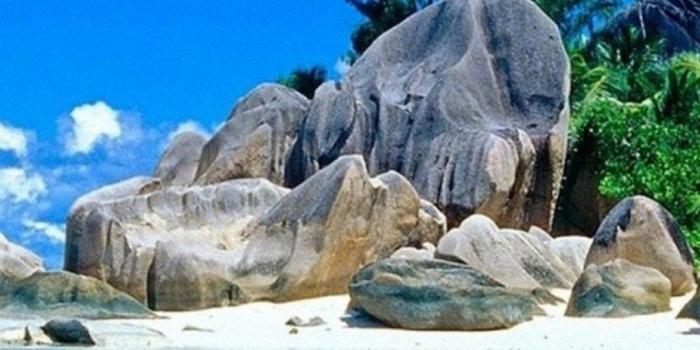 1080x1920 iPhone Nature Wallpaper HD | 2019 3D iPhone Wallpaper