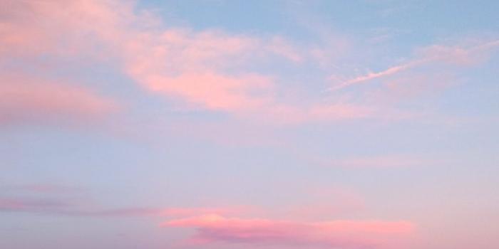 1080x817 500+ Pink Sky Pictures | Download Free Images on Unsplash