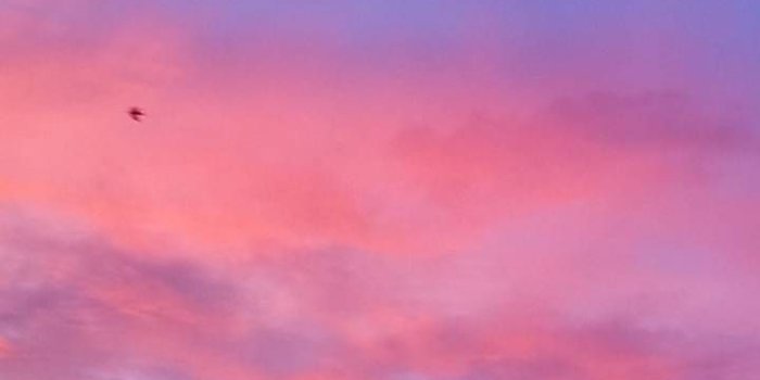 720x1280 pink clouds Wallpaper by Nathaliebrookman - f3 - Free on ZEDGE™