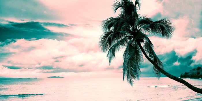 2560x1440 2953676 beach pink turquoise coconut palms clouds pink clouds