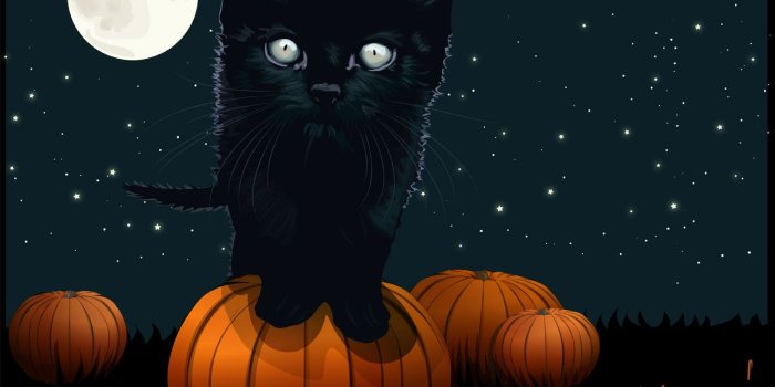 1280x1024 Cute Girly Halloween Wallpapers - Top Free Cute Girly Halloween