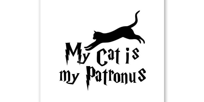 930x930 My Cat Is My Patronus Quote Wall Art Print Picture And Poster Canvas  Painting Home Decoration For Kid Room Living Room No Frame