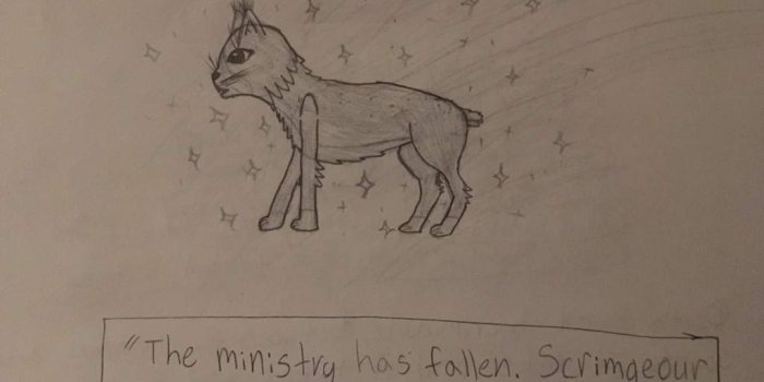 1024x768 Lynx's Warning | Harry Potter Amino