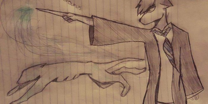 1024x768 Harry Potter/Furry Art #FursonaPatronus | Furry Amino