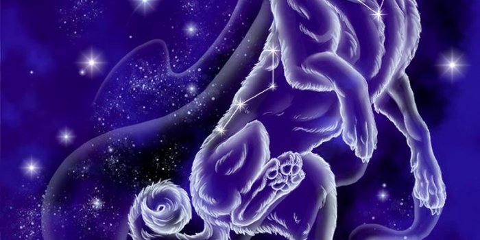 794x1123 Custom Pet Portrait Patronus Art made by Order. Dog Cat Any animals