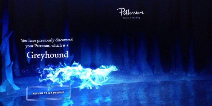 1024x768 Mi casa de hogwarts y mi patronus | •Harry Potter• Español Amino