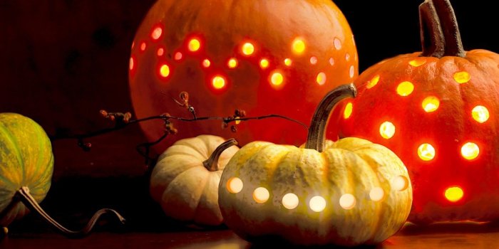 1280x804 Holes in pumpkins wallpapers | Holes in pumpkins stock photos