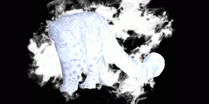 1600x1200 August Extra Credit II: Patronus Charm : harrypotter