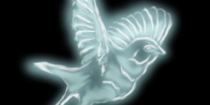 900x876 Patronus Sparrow Wallpaper Related Keywords & Suggestions - Patronus