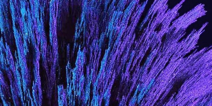 720x1280 Violet, threads, neon, abstract, 720x1280 wallpaper | Abstract