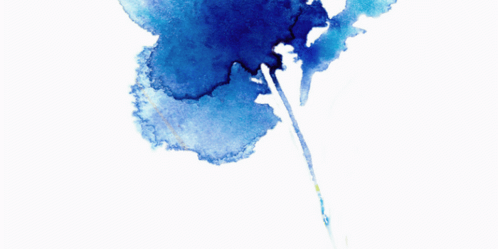 735x1102 Iris Painting, Iris Poster, Blue Flowers, Blue Flower, Blue Flower