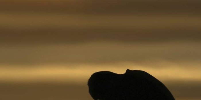 766x1280 Lonely Man Wallpaper by iamAshu - 25 - Free on ZEDGE™