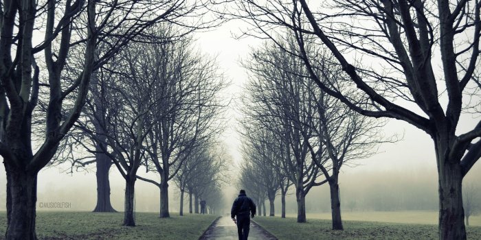 1920x1200 Lonely Man In Road - Boundless Moment Robert Frost (#313268) - HD