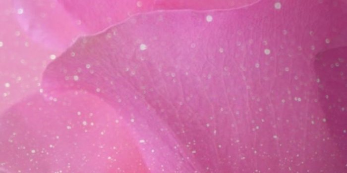 736x1308 Pretty Glitter Wallpapers