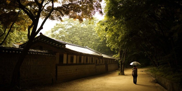 1920x1200 Lonely Man And His Umbrella | HD Nature Wallpapers for Mobile and