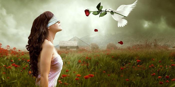 3840x2160 Red Rose Love Wallpaper (55+ images)