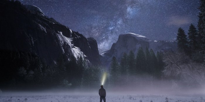 1920x1200 Starry Sky Lonely Man Hd Wallpapers Cute And Birds - Litle Pups