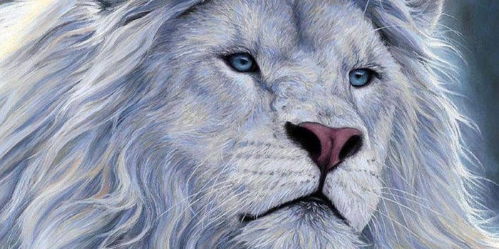 900x1050 Lion Wallpaper With Quotes - White Lion King, Hd Wallpapers