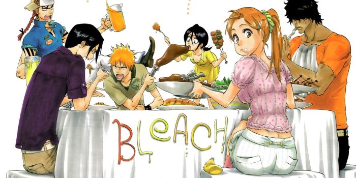 1600x1200 Anime - Bleach Wallpaper | Anime & Manga | Bleach funny, Bleach