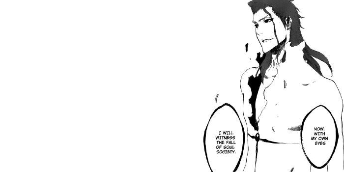 1920x1200 Bleach Wallpaper | 1920x1200 | ID:43153