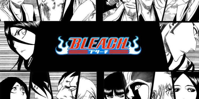 1024x768 Bleach Captains Wallpapers - Top Free Bleach Captains Backgrounds