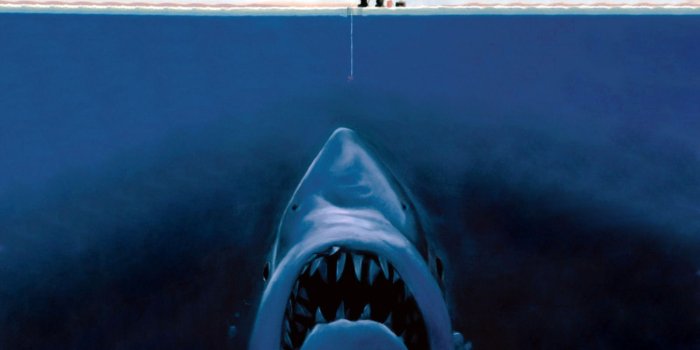 1600x1200 Funny Hd Backgrounds #6994322