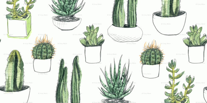 1679x1308 Succulent Wallpapers