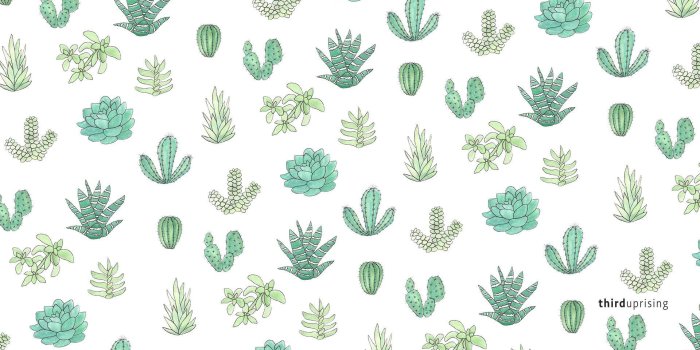 1920x1080 Succulent Desktop Wallpaper (103+ images in Collection) Page 2