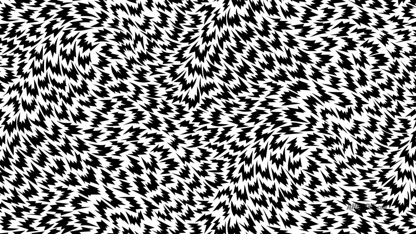 2560x1441 Ahoodie | Vans x Eley Kishimoto