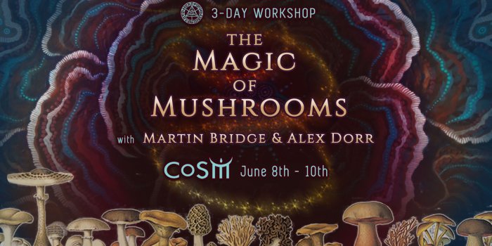 1920x1080 The Magic of Mushrooms with Martin Bridge and Alex Door