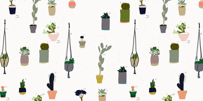 5120x2880 55+ Cactus Computer Wallpapers - Download at WallpaperBro