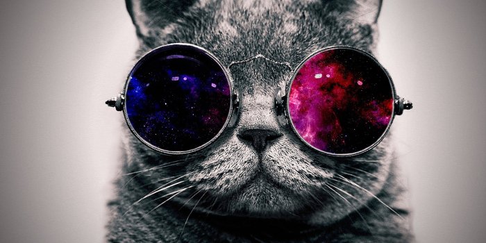 3840x2400 galaxia | Galaxias | Cat sunglasses, Cat birthday, Cats