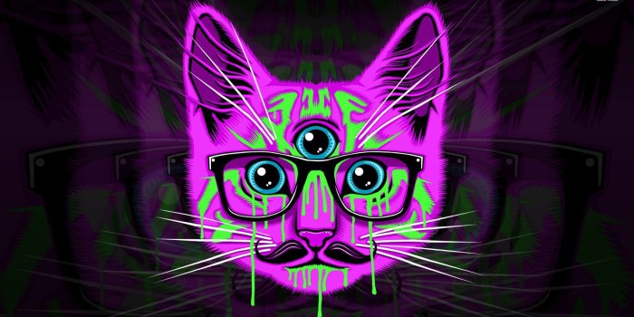 1920x1080 Psychedelic hipster cat wallpaper - Artistic wallpapers - #22826