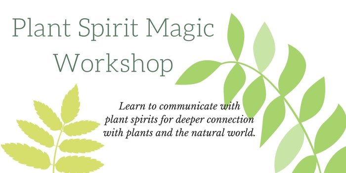 1920x1080 Plant Spirit Magic Workshop (Autumn) -