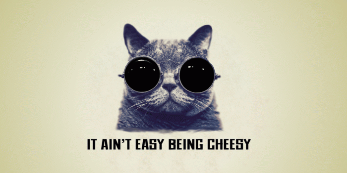 1191x670 Cool Cat Wallpapers - Top Free Cool Cat Backgrounds - WallpaperAccess