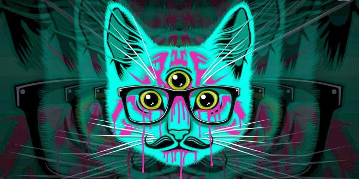 1920x1080 65+ Dope Cat Wallpapers - Download at WallpaperBro