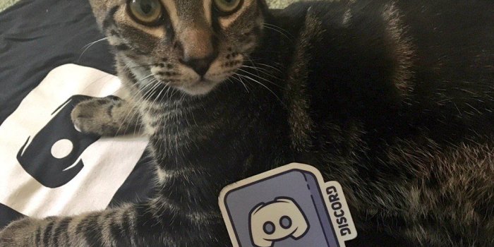 1024x768 Ms Wowhead on Twitter: 