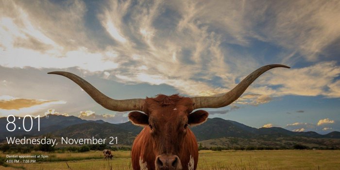 1600x900 How to customize the Lock screen on Windows 10 | Windows Central