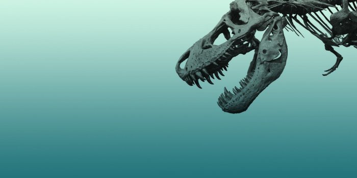 1920x1200 204 Dinosaur HD Wallpapers | Background Images