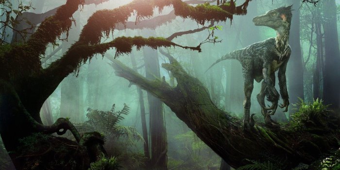 1920x1080 47+] Dinosaurs Desktop Wallpaper 1920x1080 on WallpaperSafari