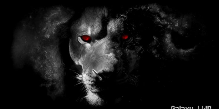 1322x744 Black Lion Wallpaper | Image Wallpapers