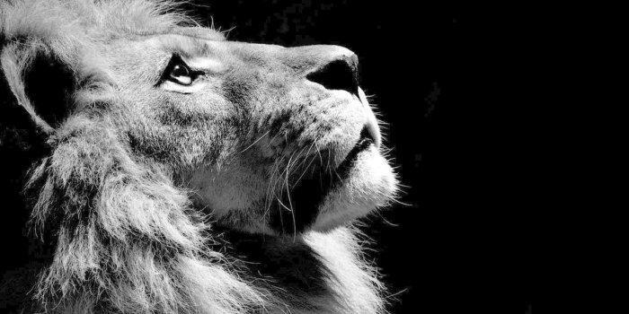 1600x1200 Cars Wallpaper: Black Jaguar Car Inside Wallpaper Photo with HD